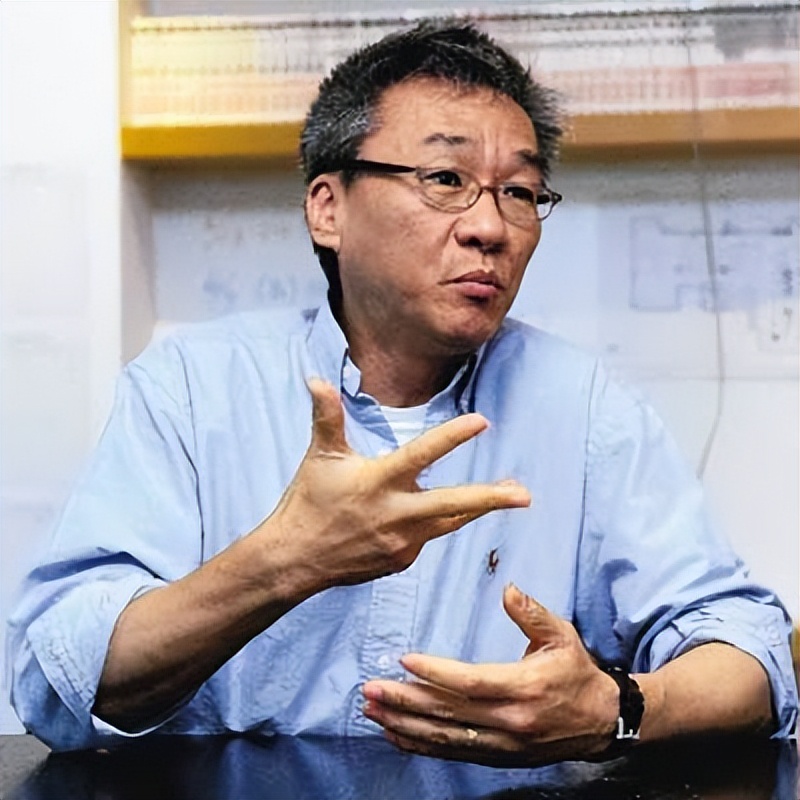 蔡琴个人资料简介(十年婚姻一片空白,64岁单身无儿无女)