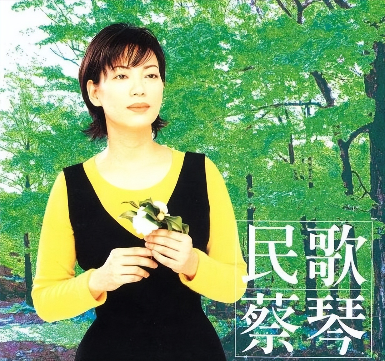 蔡琴个人资料简介(十年婚姻一片空白,64岁单身无儿无女)