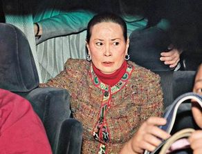 赌王四太梁安琪简介(打工妹逆袭赌王四太,怒砸5亿购豪宅,却没有奚梦瑶的名)