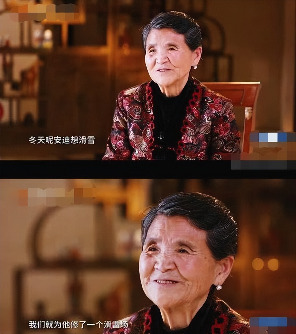 黄圣依个人简介（周星驰捧红后嫁二婚杨子，一年2亿零花钱，如今还好吗？）