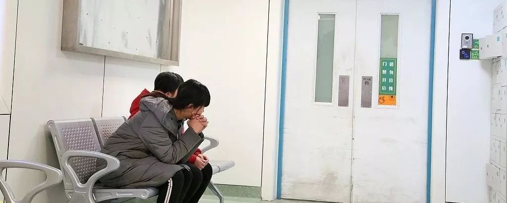 蒋方舟简介(蒋方舟:30岁,我才刚上场)