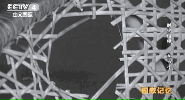 这张对比照背后的故事焦裕禄简介(令人泪目!今天,缅怀焦裕禄)