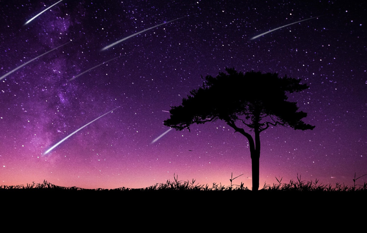 李汉荣简介(散文|李汉荣:童年的星空)