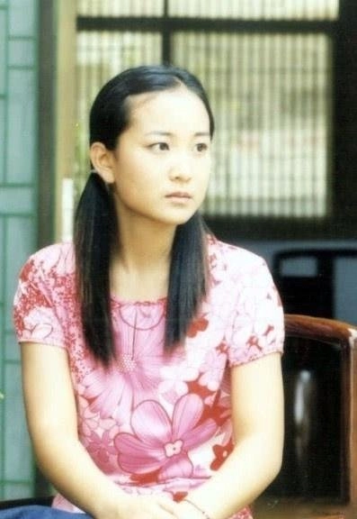 李焕英简介(让逝去的母亲流传后世,风光背后有泪水)