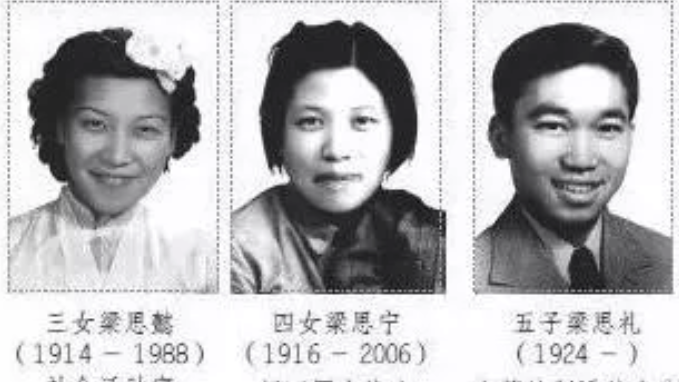 梁启超传简介(梁启超传:一门三院士,九子皆才俊)