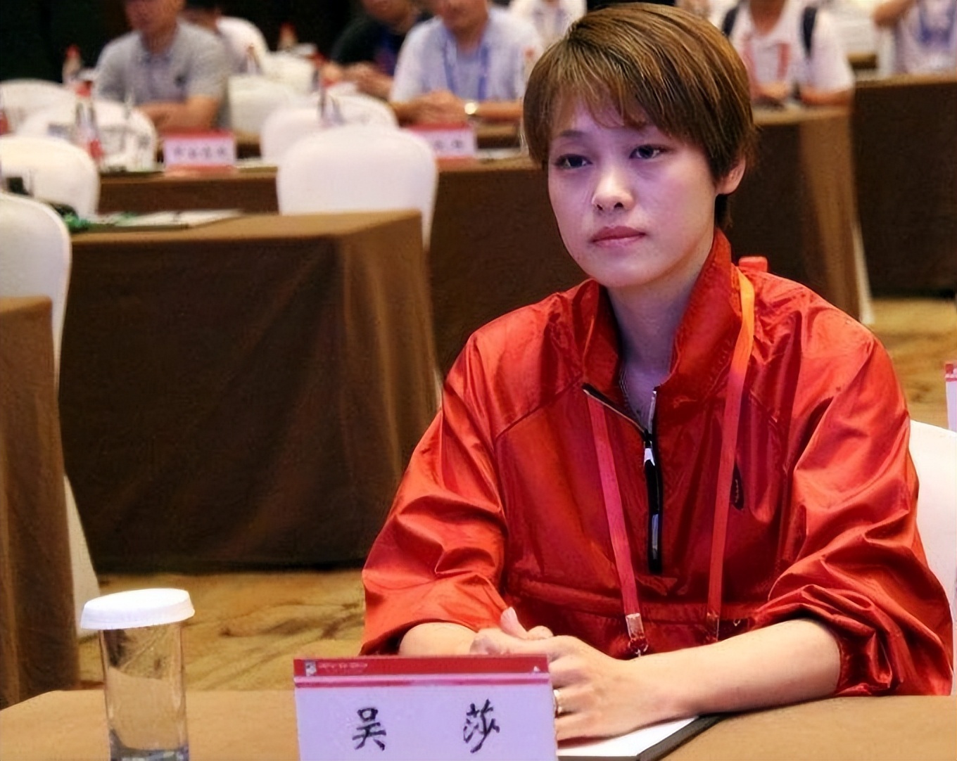 刘翔的简介(和葛天结婚不到一年离婚,二婚娶初恋吴莎,现婚姻状况如何)