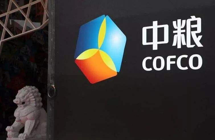 宁高宁简介(宁高宁:独树一帜的央企一把手,不是传奇胜似传奇的改革家)