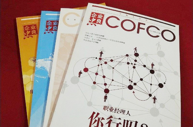 宁高宁简介(宁高宁:独树一帜的央企一把手,不是传奇胜似传奇的改革家)