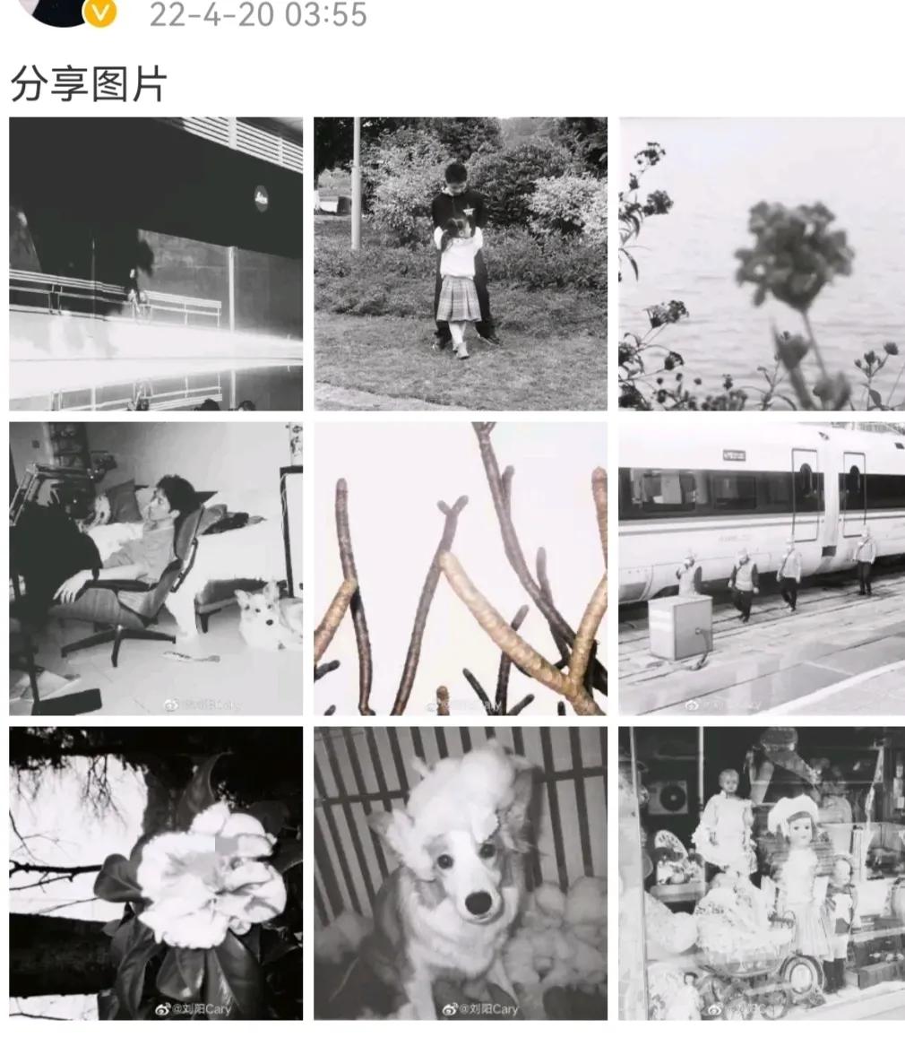 网红刘阳个人简介(知名网红刘阳人设崩塌,时隔三年发微博晒灰色图片,是要复出吗?)