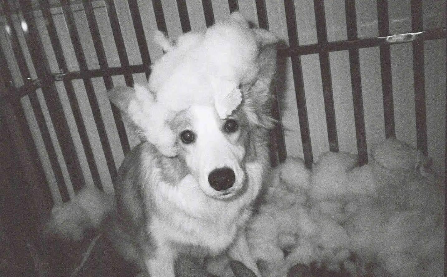 网红刘阳个人简介(知名网红刘阳人设崩塌,时隔三年发微博晒灰色图片,是要复出吗?)