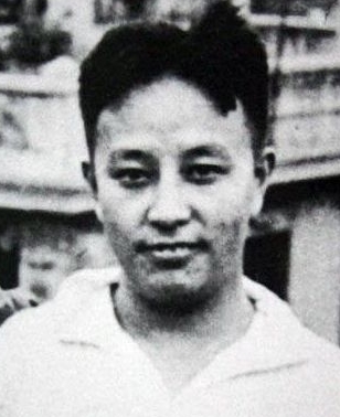 王明简介(图说曾经的中国共产党领导人“王明”)