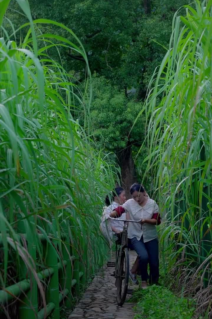 乡愁沈丹个人资料简介(从离异负债到带全村人致富,单亲妈妈如何完成蜕变?)