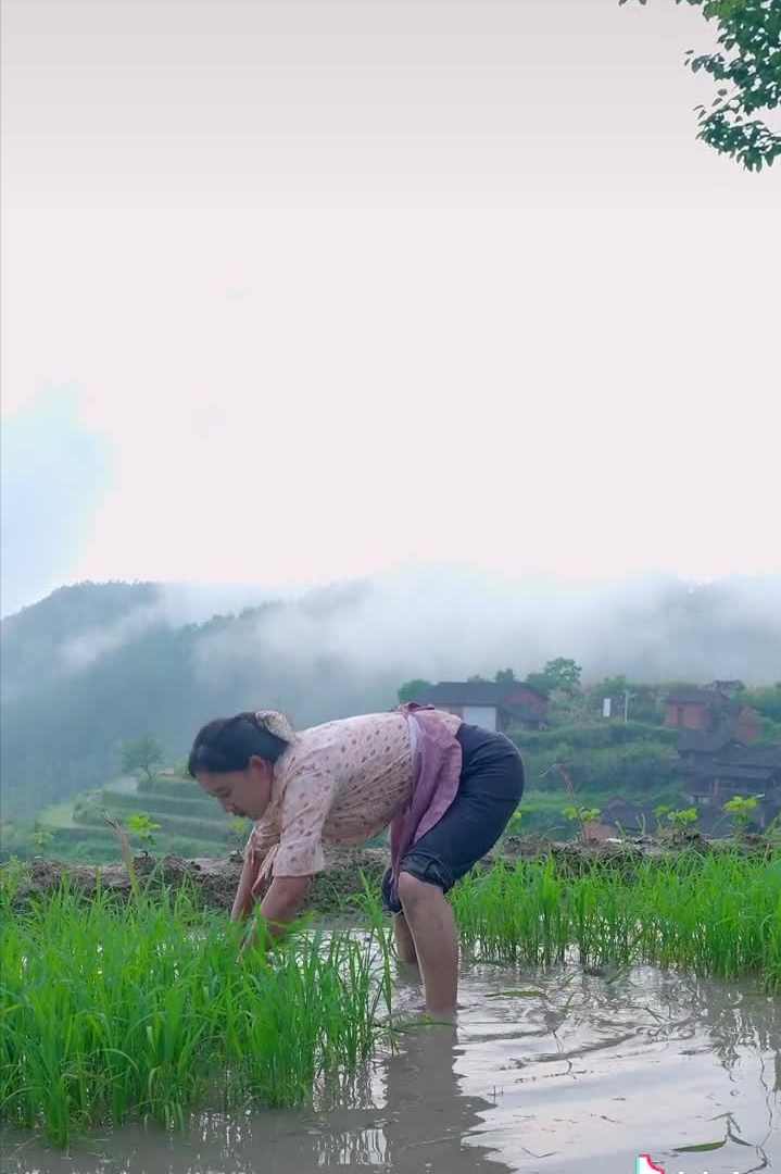 乡愁沈丹个人资料简介(从离异负债到带全村人致富,单亲妈妈如何完成蜕变?)