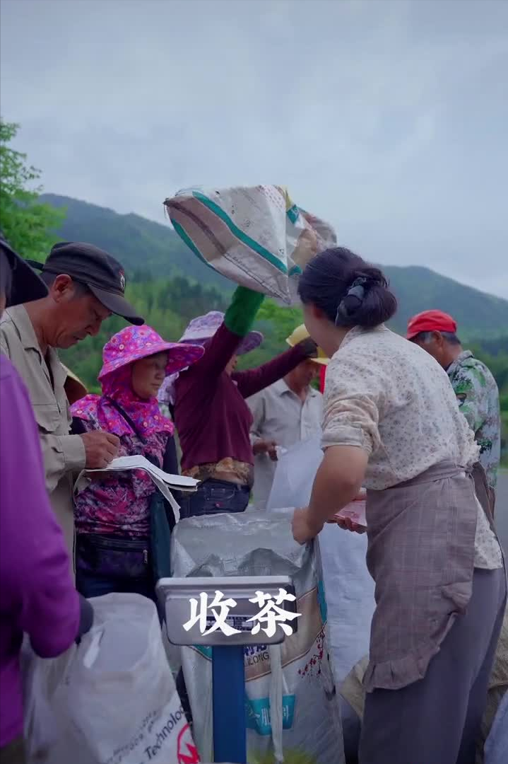 乡愁沈丹个人资料简介(从离异负债到带全村人致富,单亲妈妈如何完成蜕变?)