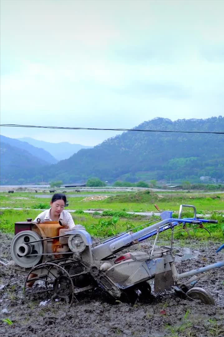 乡愁沈丹个人资料简介(从离异负债到带全村人致富,单亲妈妈如何完成蜕变?)