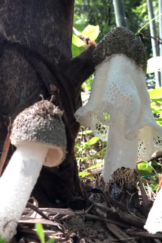 乡愁沈丹个人资料简介(从离异负债到带全村人致富,单亲妈妈如何完成蜕变?)