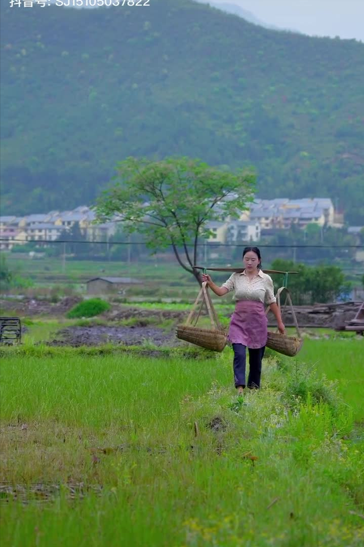 乡愁沈丹个人资料简介(从离异负债到带全村人致富,单亲妈妈如何完成蜕变?)