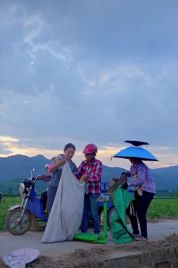 乡愁沈丹个人资料简介(从离异负债到带全村人致富,单亲妈妈如何完成蜕变?)