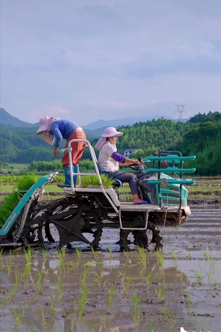 乡愁沈丹个人资料简介(从离异负债到带全村人致富,单亲妈妈如何完成蜕变?)