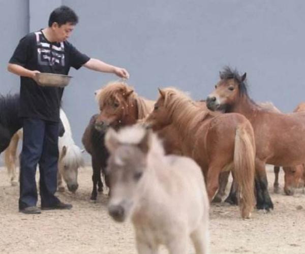 相声于谦简介（娶19岁女学生，不赚钱时靠老婆养，两个儿子归郭德纲管）