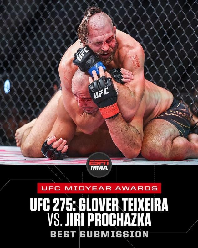 张伟丽个人简介(张伟丽重回巅峰再获大奖)