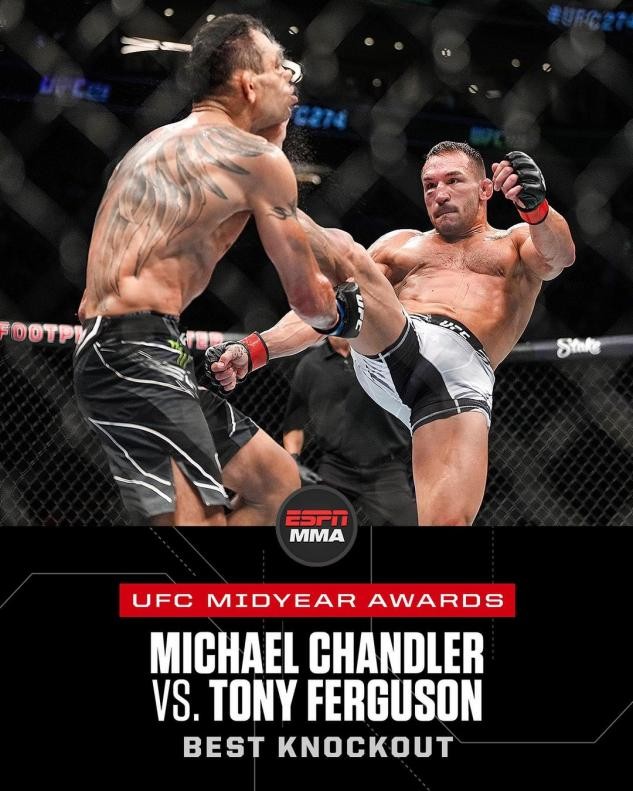 张伟丽个人简介(张伟丽重回巅峰再获大奖)