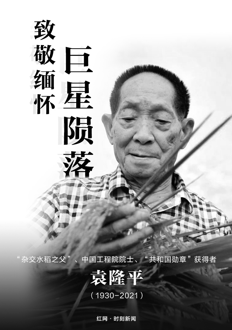 袁隆平的简短简介(别了袁老，巨星陨落，他的一生值得铭记)