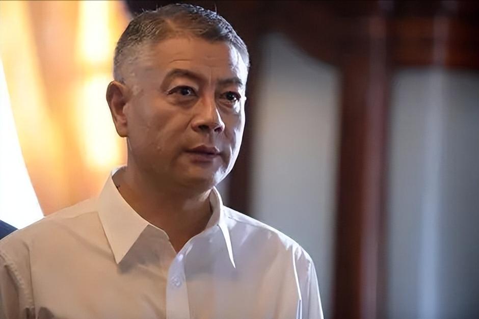 陈瑾老公是谁(巫刚:和丁克妻子离婚后,和不婚不育的陈瑾走在一起,相伴20年)