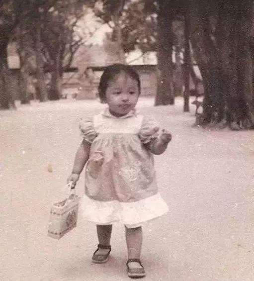 韩红的母亲是谁(韩红的母亲雍西:早年丧夫后再婚,现在最担心女儿的婚事)