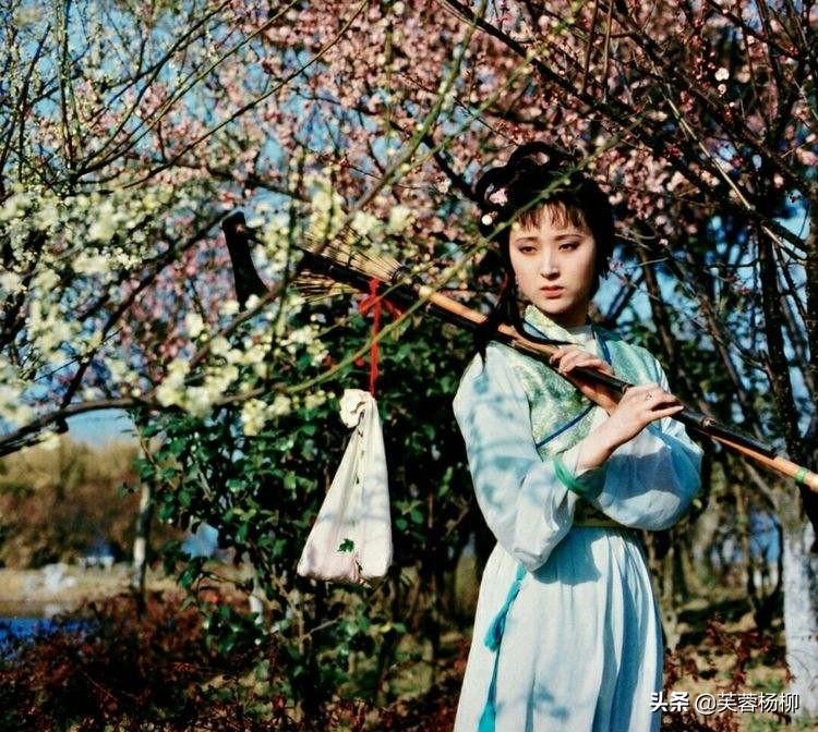 红楼梦的导演是谁(同样是《红楼梦》的导演,李少红和王扶林的差距,一目了然)