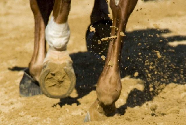 建安之杰是谁(建安时期,存诗最多成就最高的曹植为何被誉为建安之杰?)