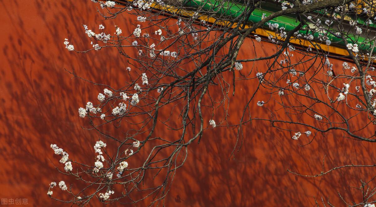 浪淘沙的作者是谁(千古词帝李煜亡国后写下一首浪淘沙,道尽世事无常,令人落泪)