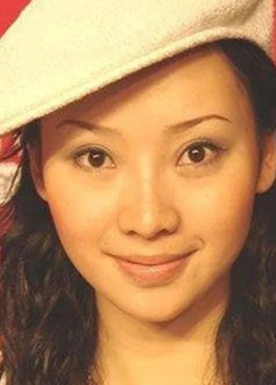 柳岩是谁(“拼命三娘”柳岩,不为人知的上位史)