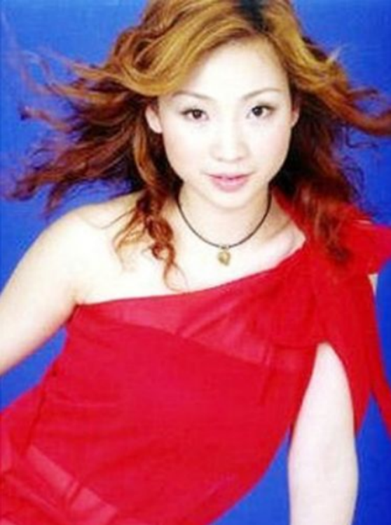 柳岩是谁(“拼命三娘”柳岩,不为人知的上位史)