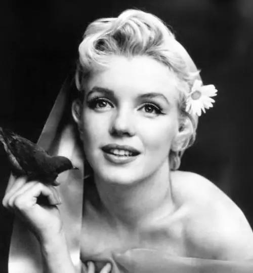 梦露是谁(玛丽莲·梦露:一场被历史误解的性感)