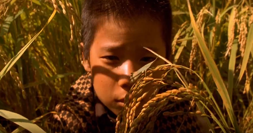 杀人回忆凶手是谁(《杀人回忆》的凶手究竟是谁?电影里其实已经说清楚了)