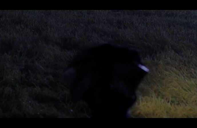 杀人回忆凶手是谁(《杀人回忆》的凶手究竟是谁?电影里其实已经说清楚了)