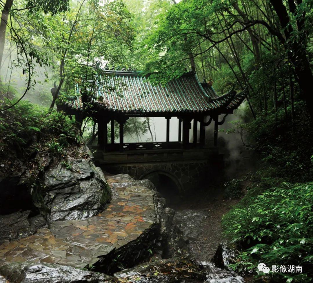 世外桃源的主人公是谁(陶渊明的桃花源,究竟有多美?)