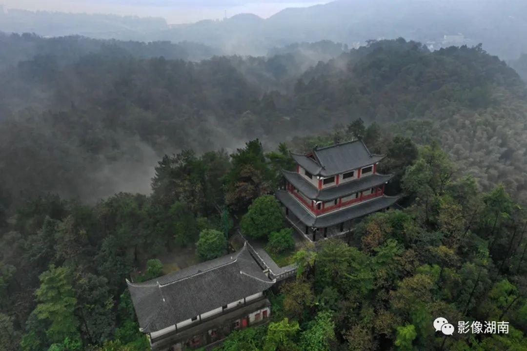 世外桃源的主人公是谁(陶渊明的桃花源,究竟有多美?)