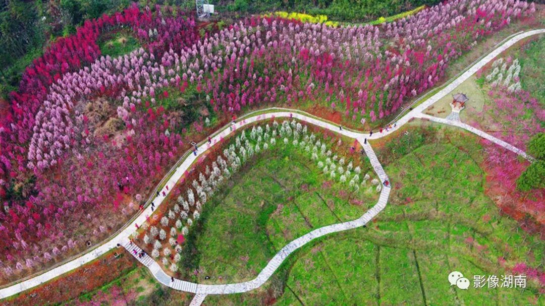 世外桃源的主人公是谁(陶渊明的桃花源,究竟有多美?)