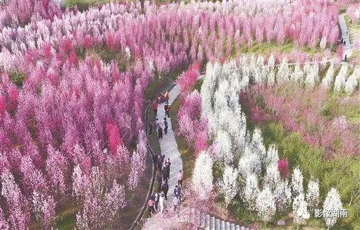 世外桃源的主人公是谁(陶渊明的桃花源,究竟有多美?)