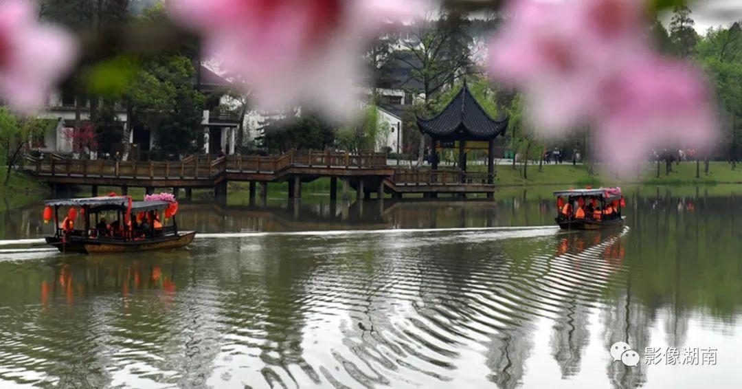 世外桃源的主人公是谁(陶渊明的桃花源,究竟有多美?)