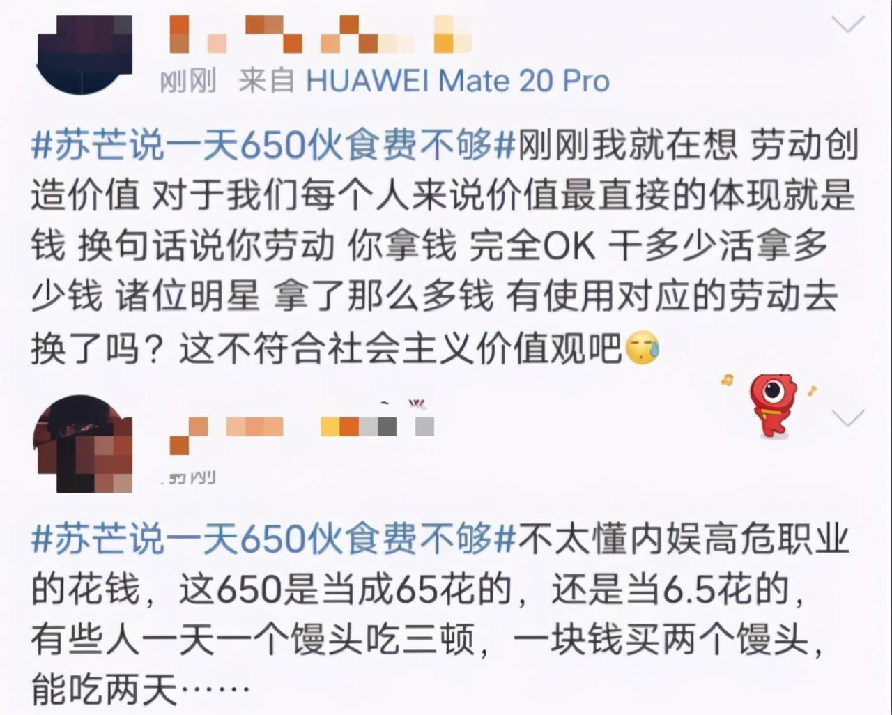 苏芒是谁(一天650的生活费还不够,苏芒她到底是何许人也?)