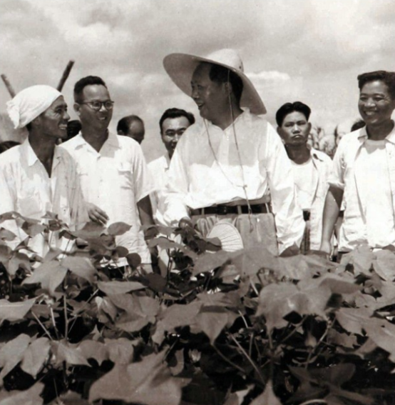 杨贵书记简介(73年周恩来提名,杨贵任公安部副部长)