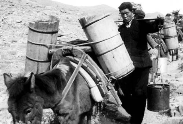 杨贵书记简介(73年周恩来提名,杨贵任公安部副部长)