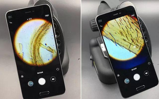 显微镜是谁发明的发明者是谁（显微镜的演化史）