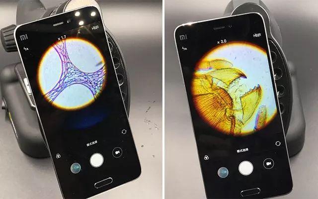 显微镜是谁发明的发明者是谁（显微镜的演化史）