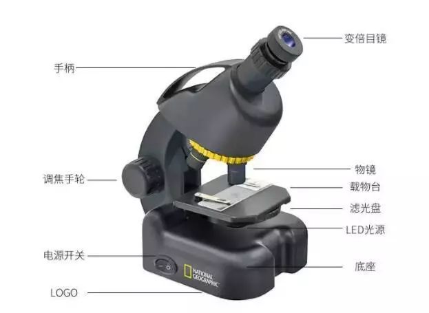 显微镜是谁发明的发明者是谁（显微镜的演化史）