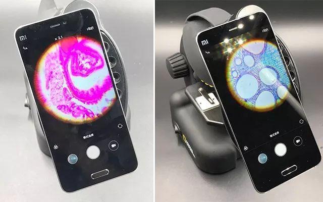 显微镜是谁发明的发明者是谁（显微镜的演化史）