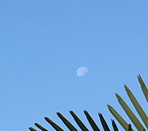 日心说是谁提出的（最早提出日心说的人）